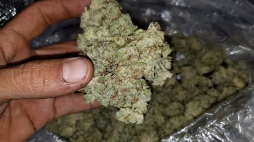 An image of 87 Lem OG