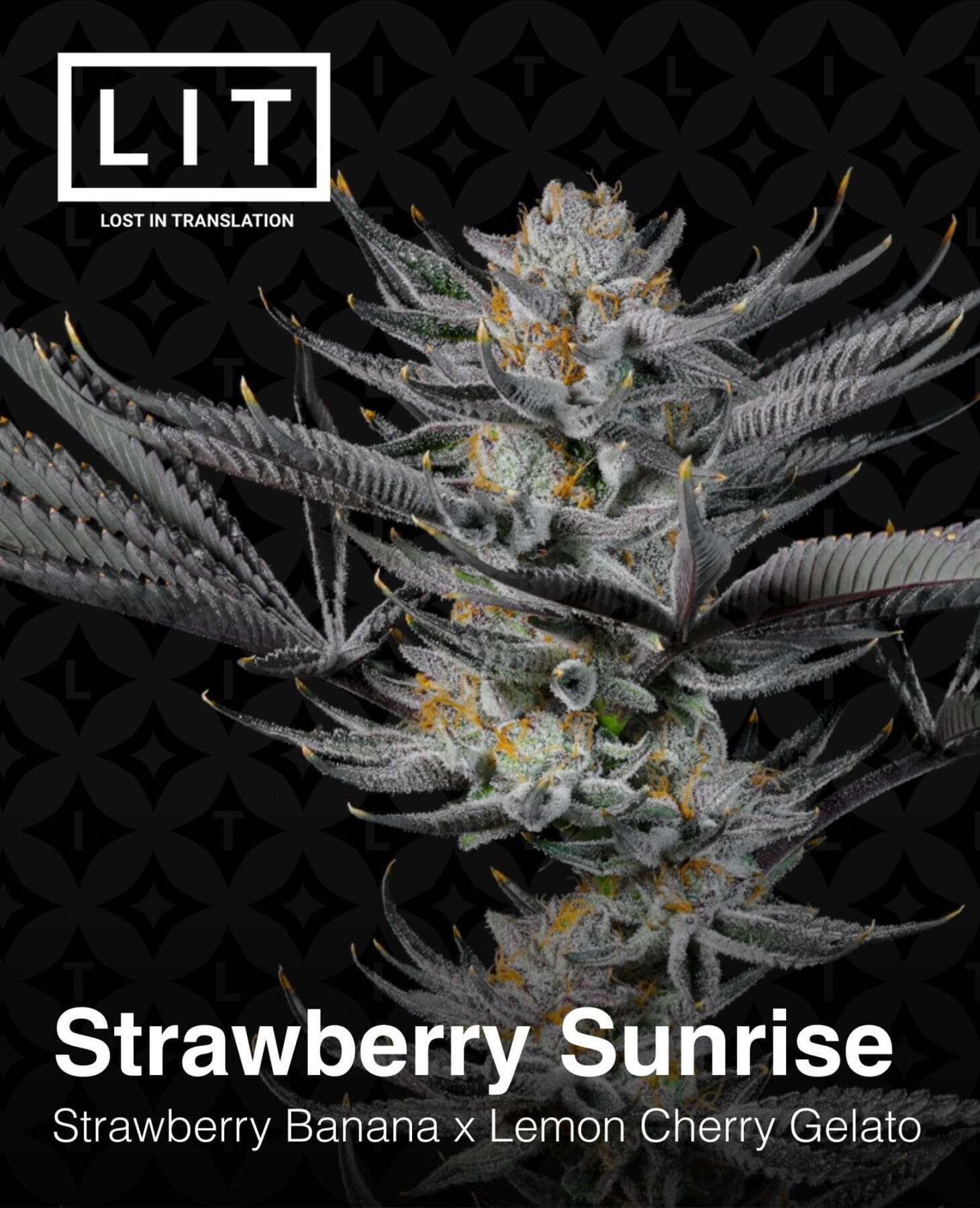 An image of Strawberry Sunrise