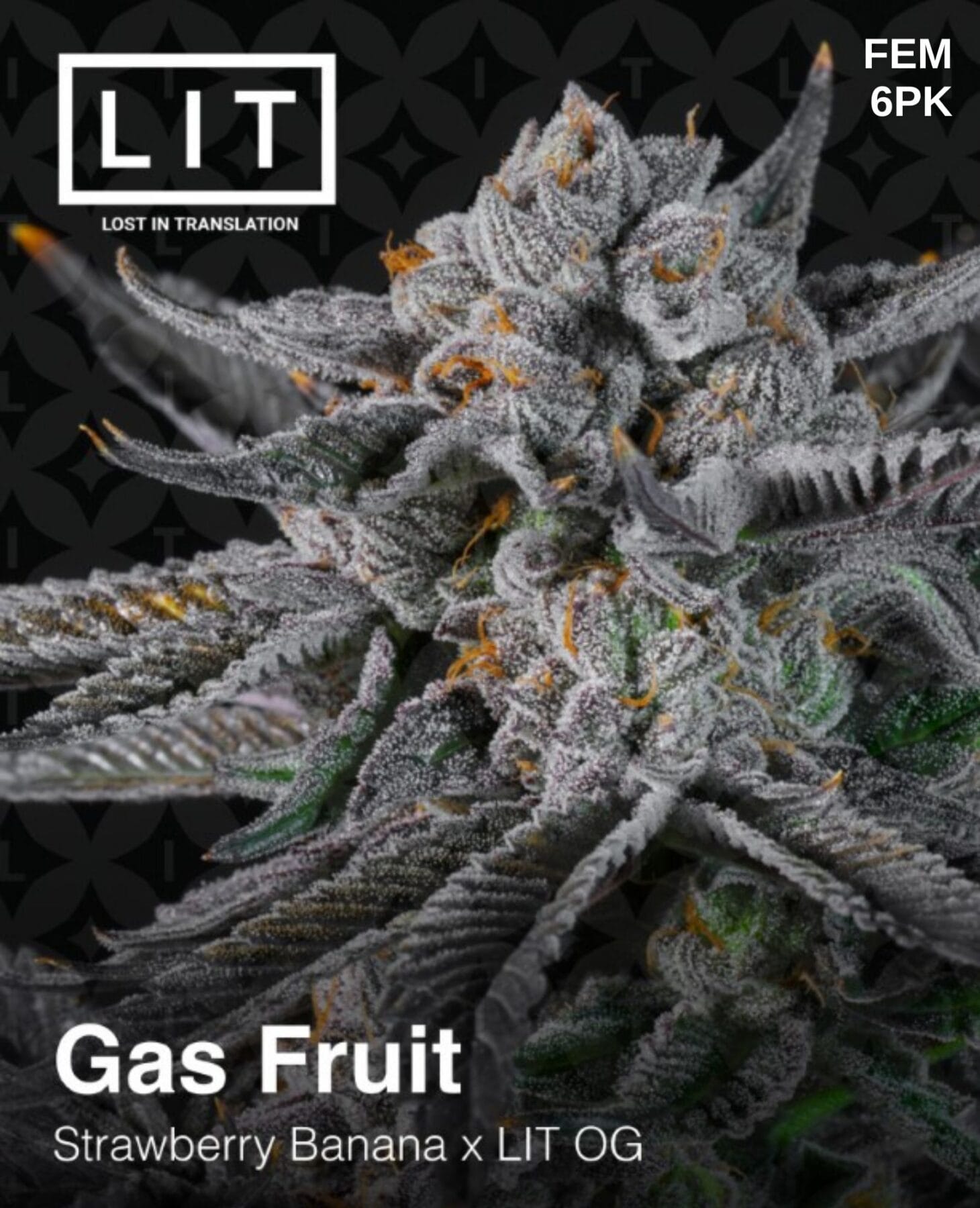 An image of Gas Fruit