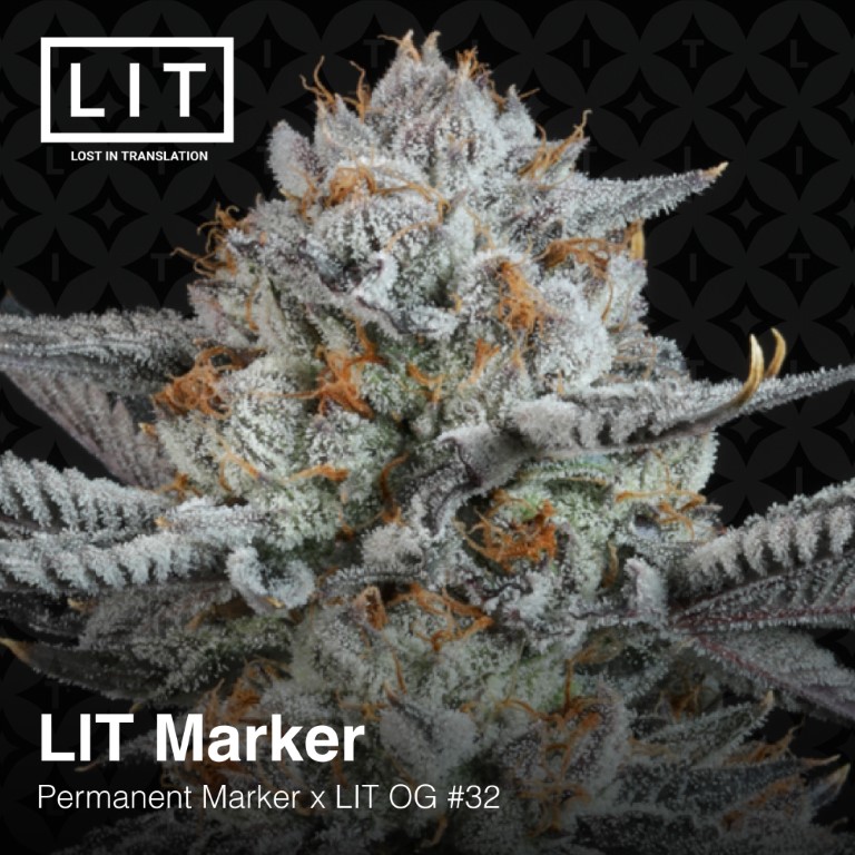 An image of Lit Marker