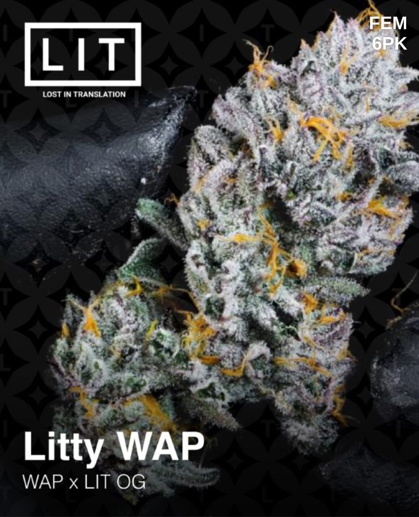 An image of Litty WAP