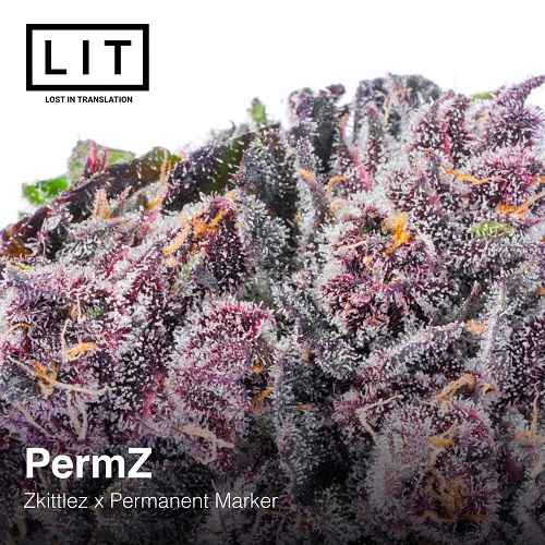 An image of Permz