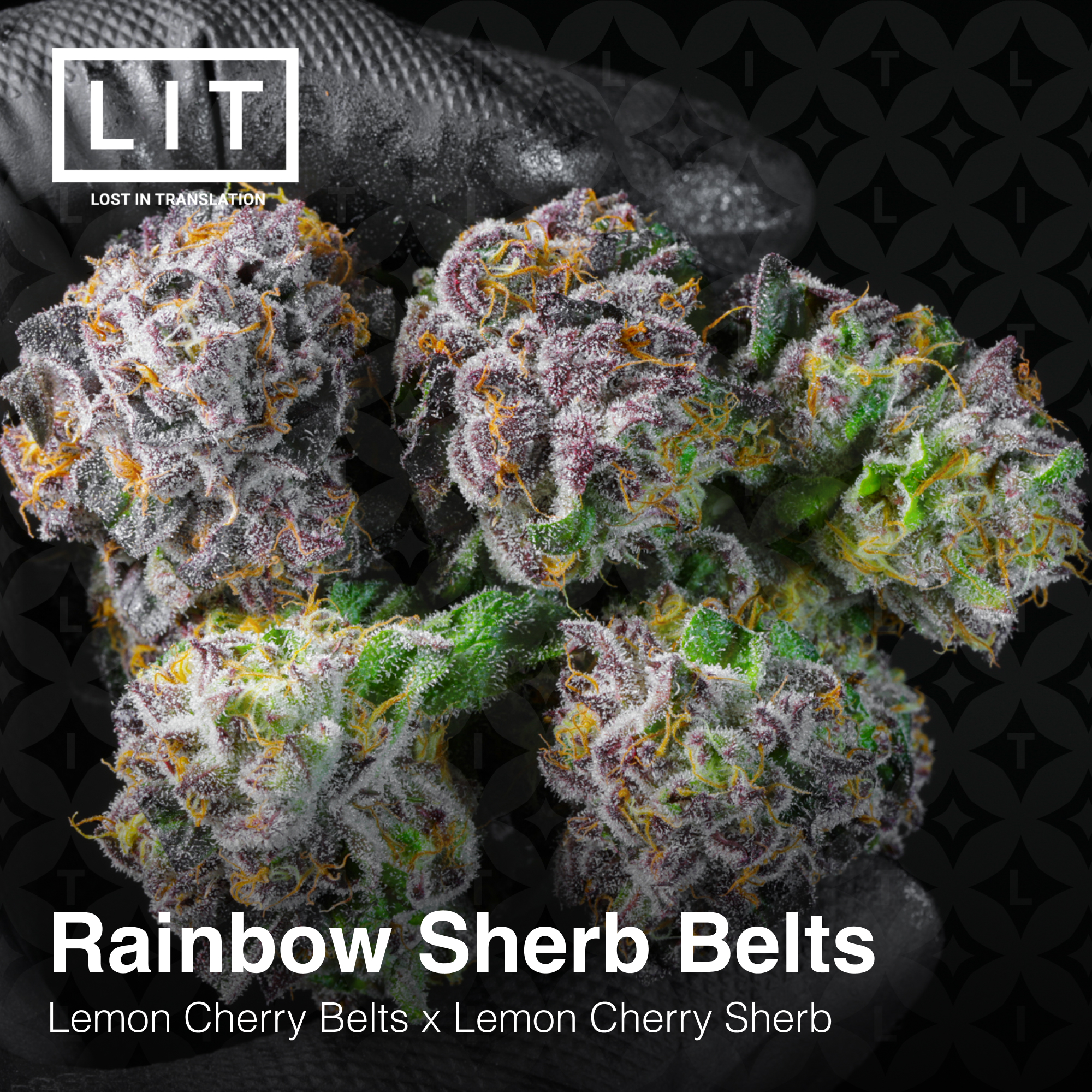 An image of Rainbow Sherb Belts