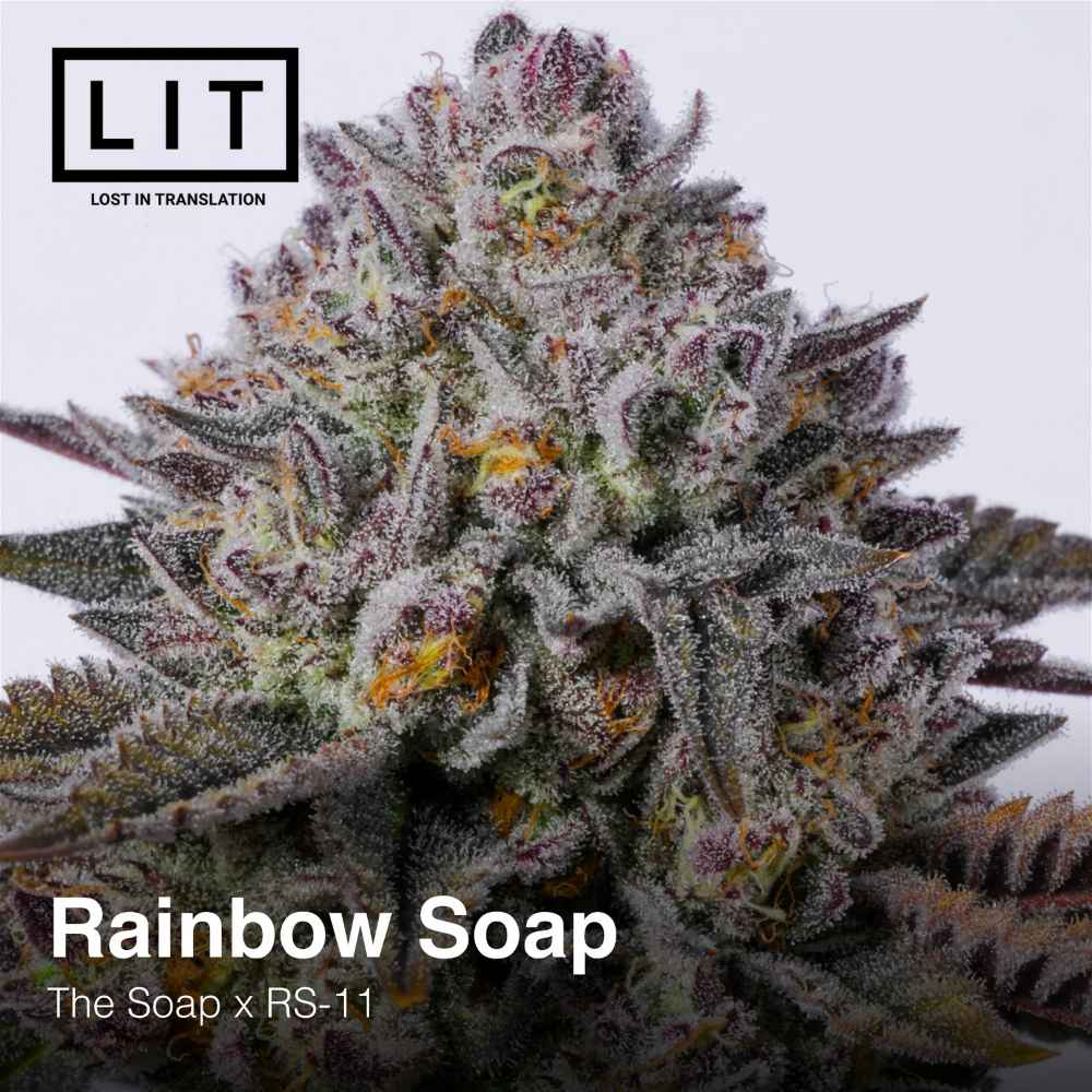 An image of Rainbow Soap