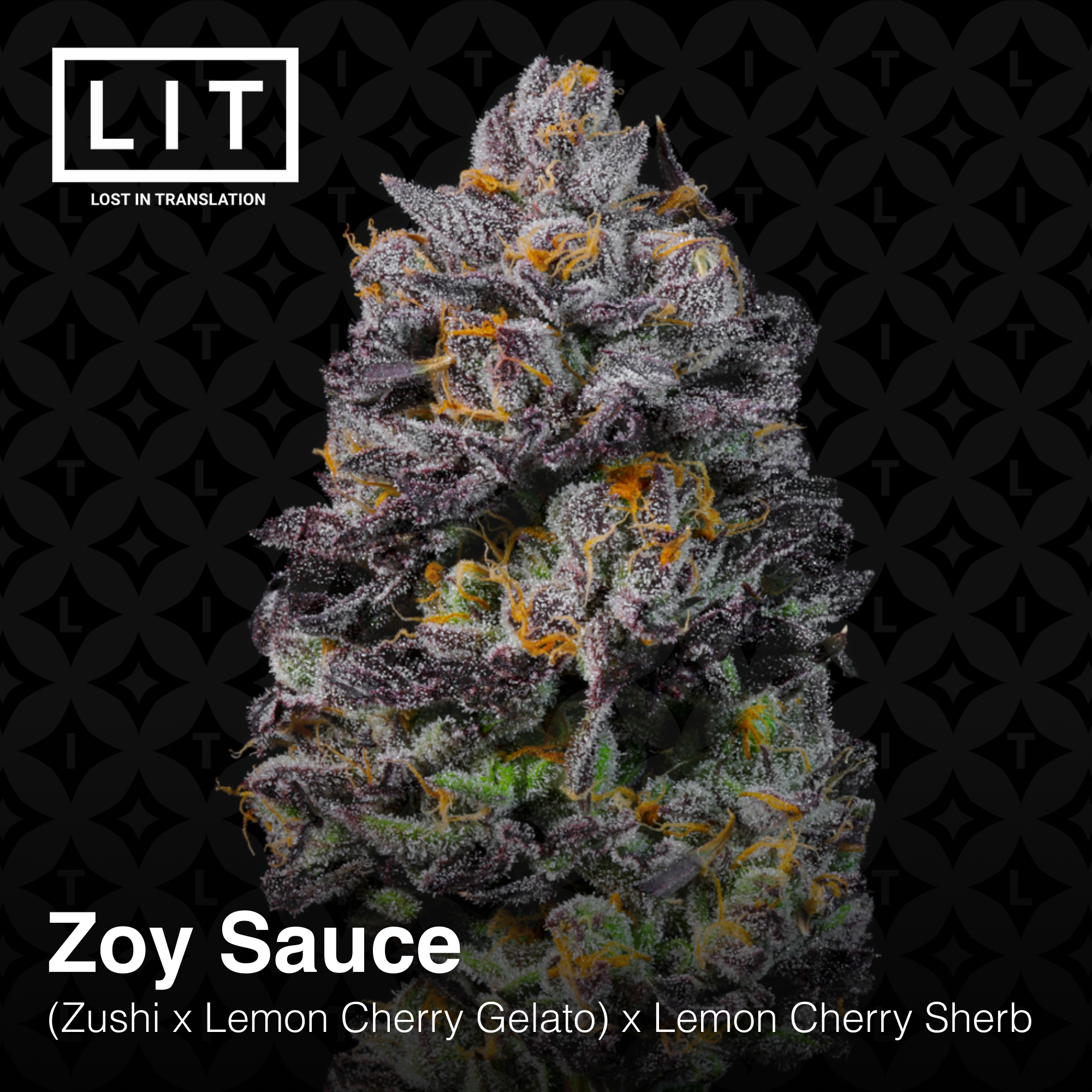An image of Zoy Sauce
