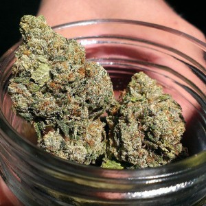An image of Headband