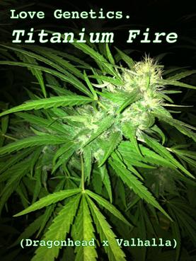 An image of Titanium Fire