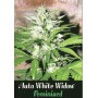 An image of Automatic White Widow