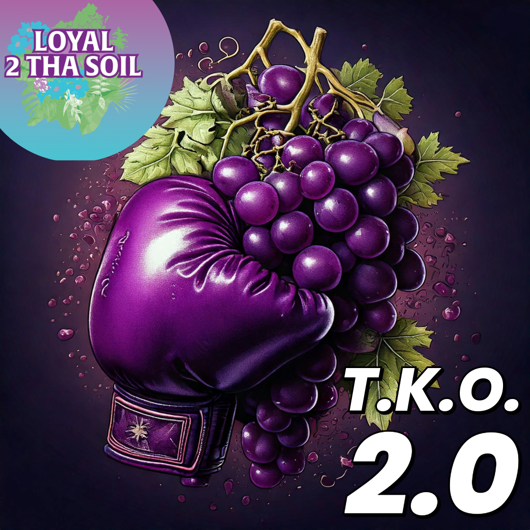 An image of T.K.O. 2.0