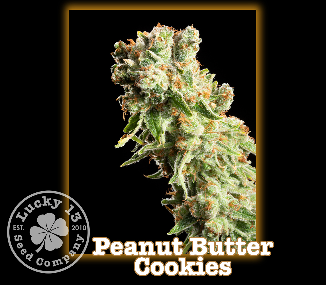 An image of Peanut Butter Cookies