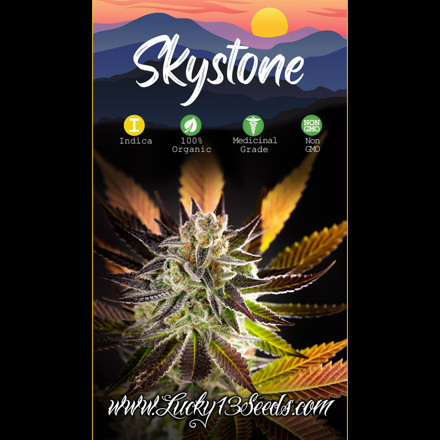 An image of Skystone
