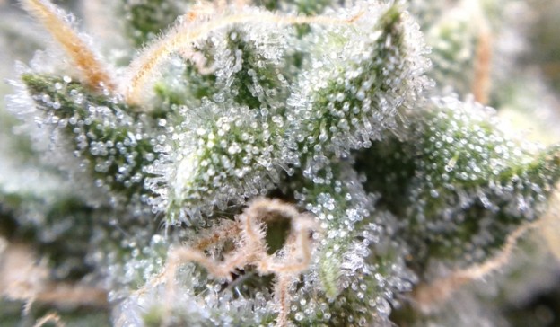 An image of Turbo Diesel