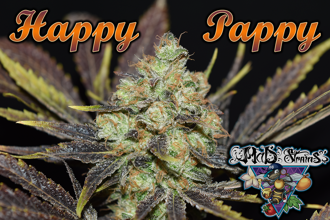 An image of Happy Pappy