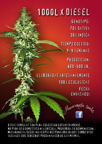 An image of 1000L x Diesel