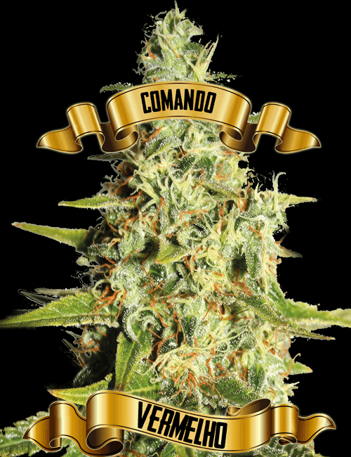 An image of Comando Vermelho