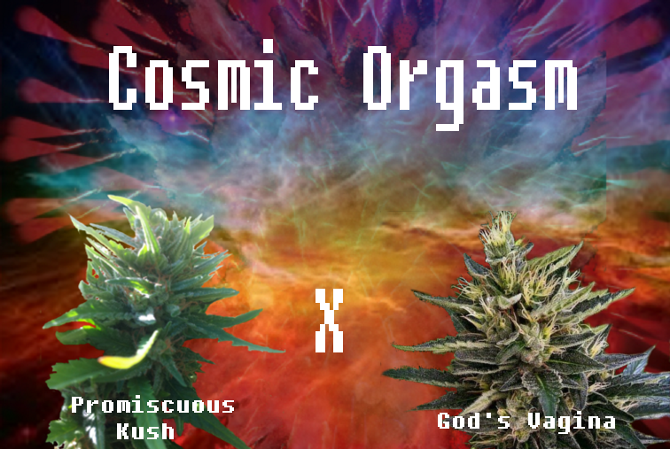 An image of Cosmic Orgasm
