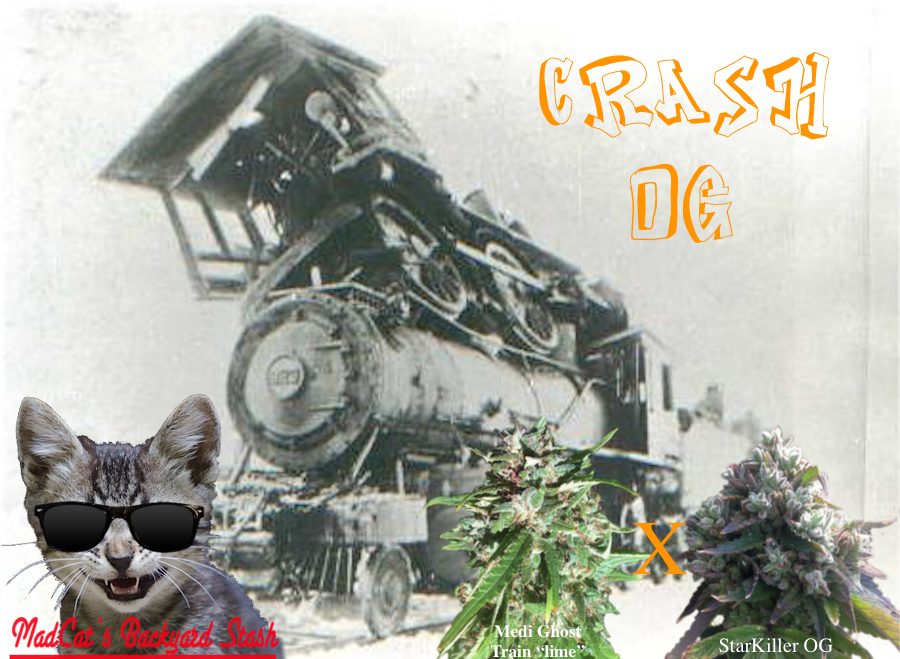 An image of Crash OG