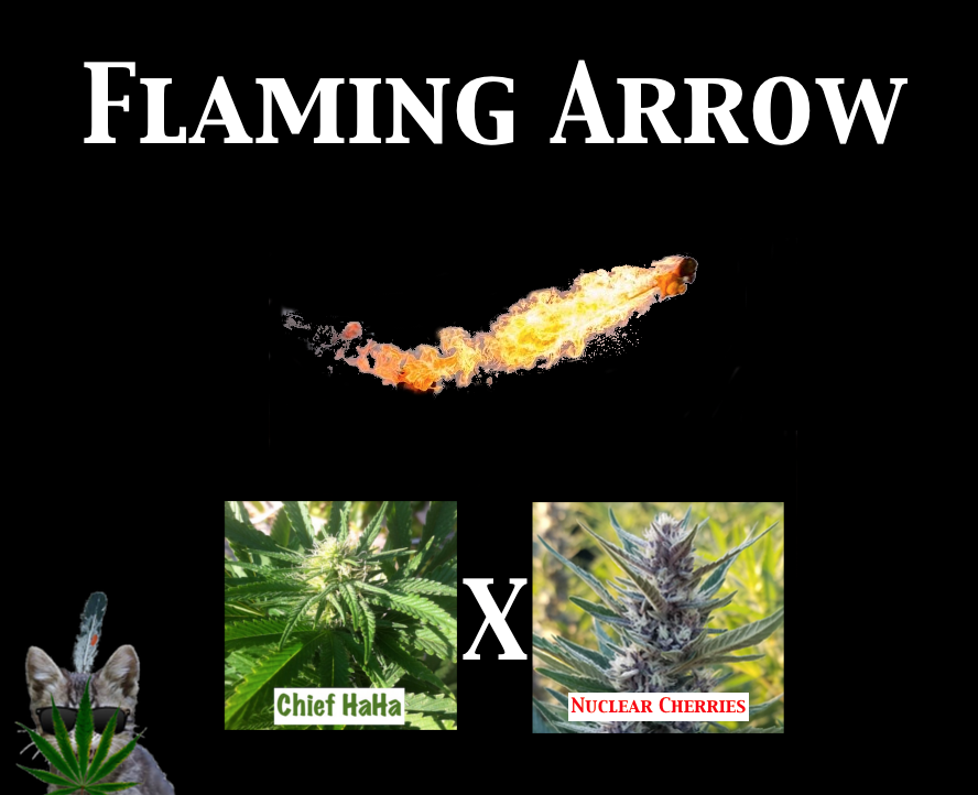An image of Flaming Arrow