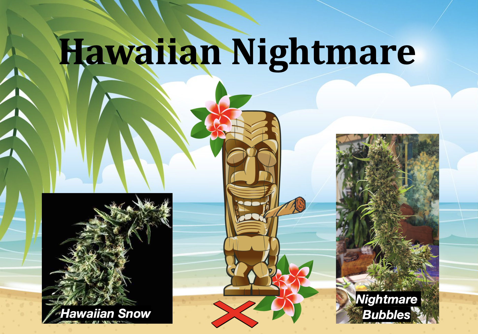 An image of Hawaiian Nightmare