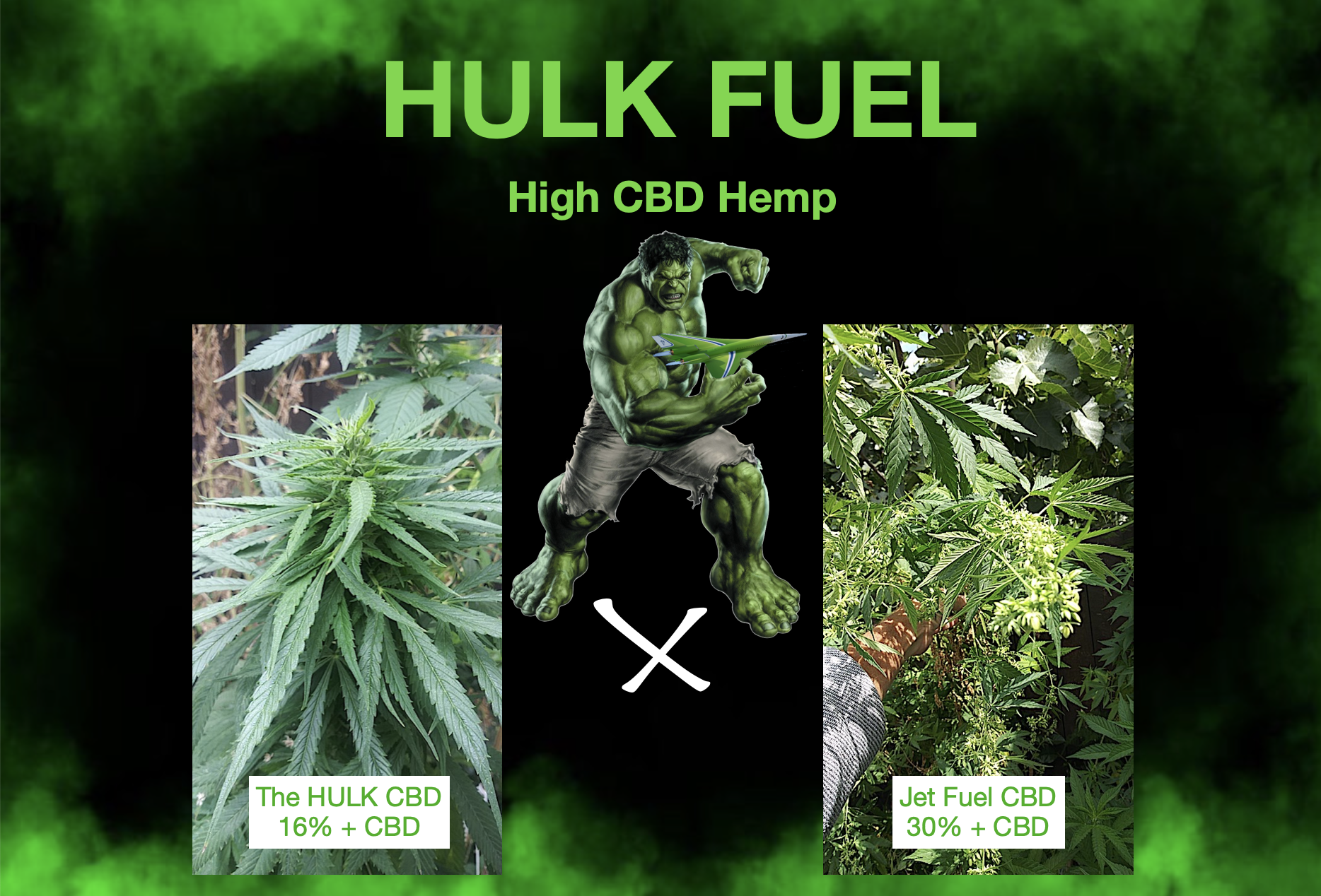 An image of Hulk Fuel