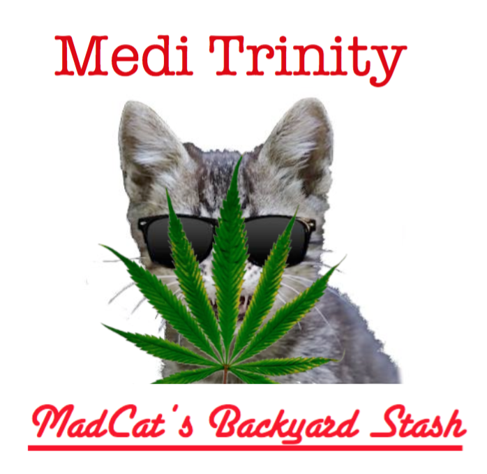 An image of Medi Trinity