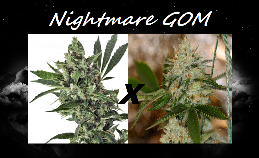 An image of Nightmare Gom