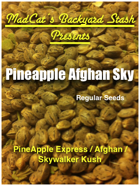 An image of Pineapple Afghan Sky
