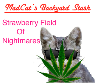 An image of Strawberry Field Of Nightmares