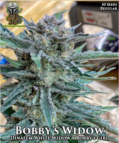 An image of Bobby’s Widow
