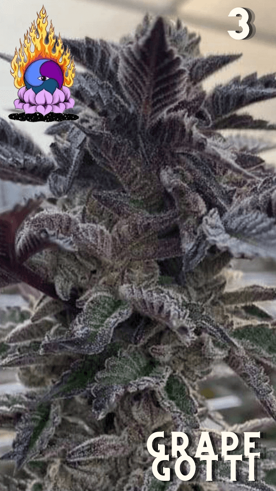 An image of Grape Gotti