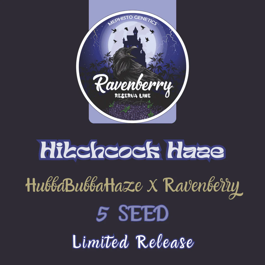 An image of Hitchcock Haze