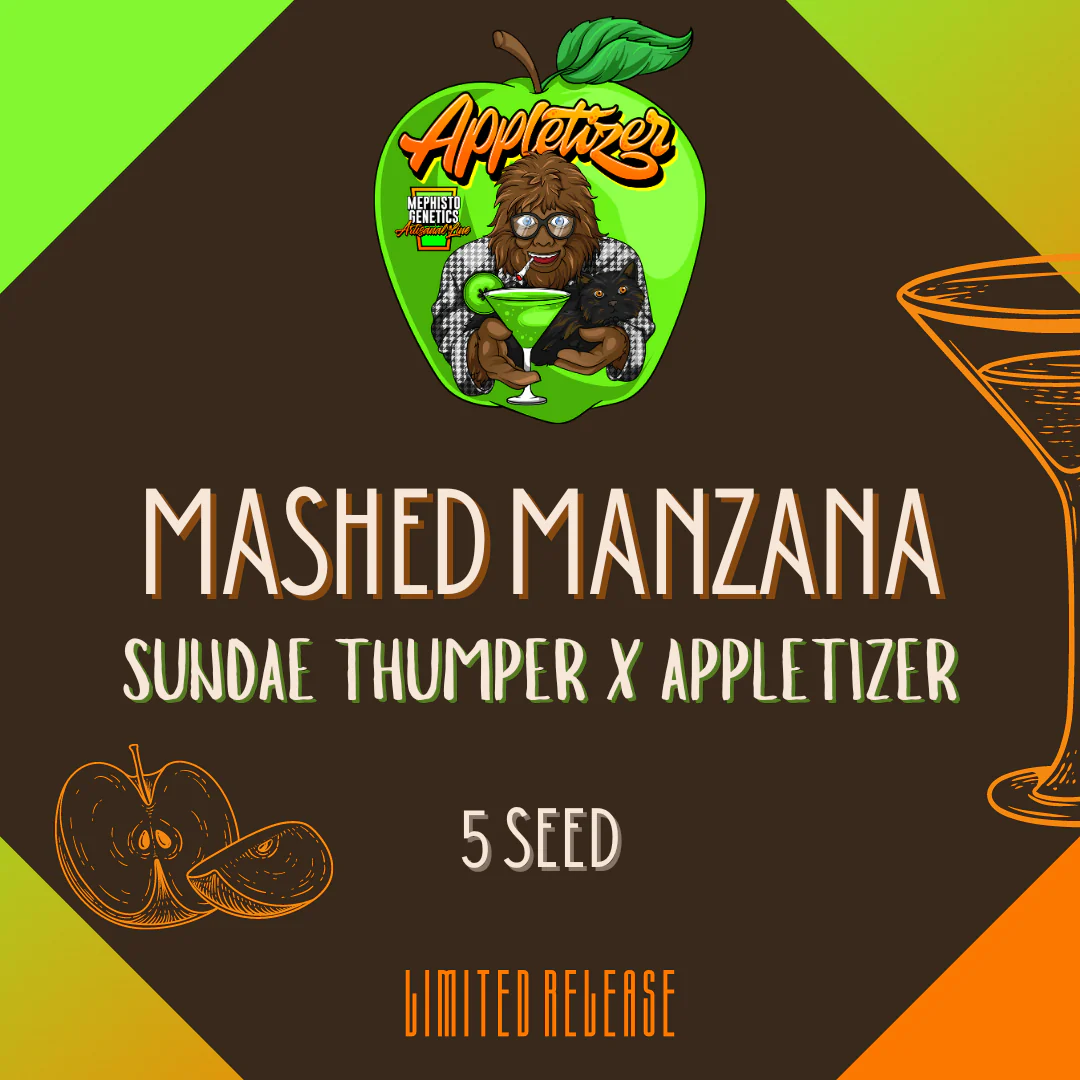 An image of Mashed Manzana