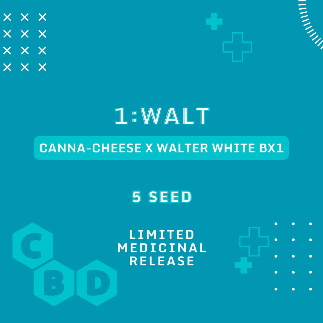 An image of 1:Walt