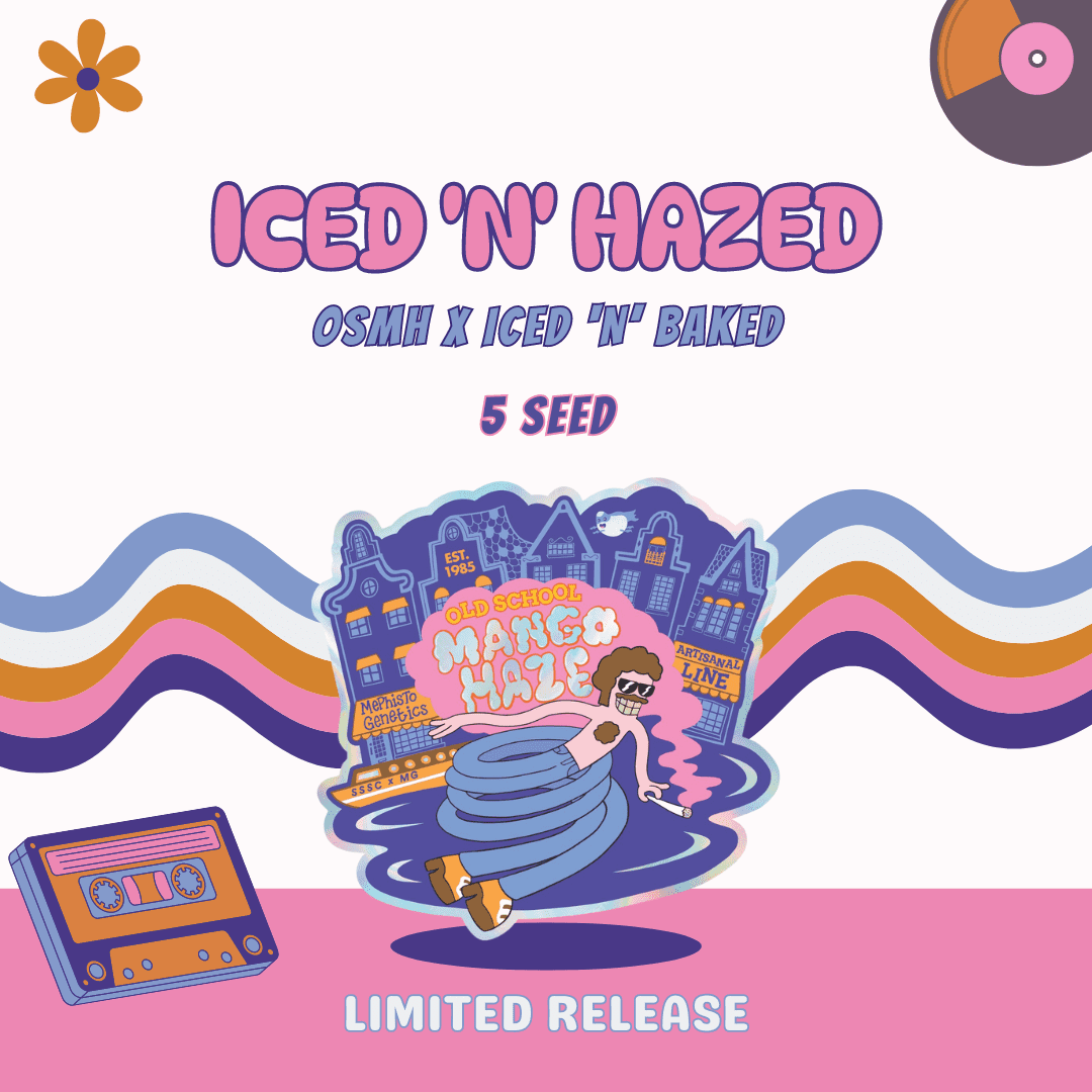 An image of Iced 'n' Hazed