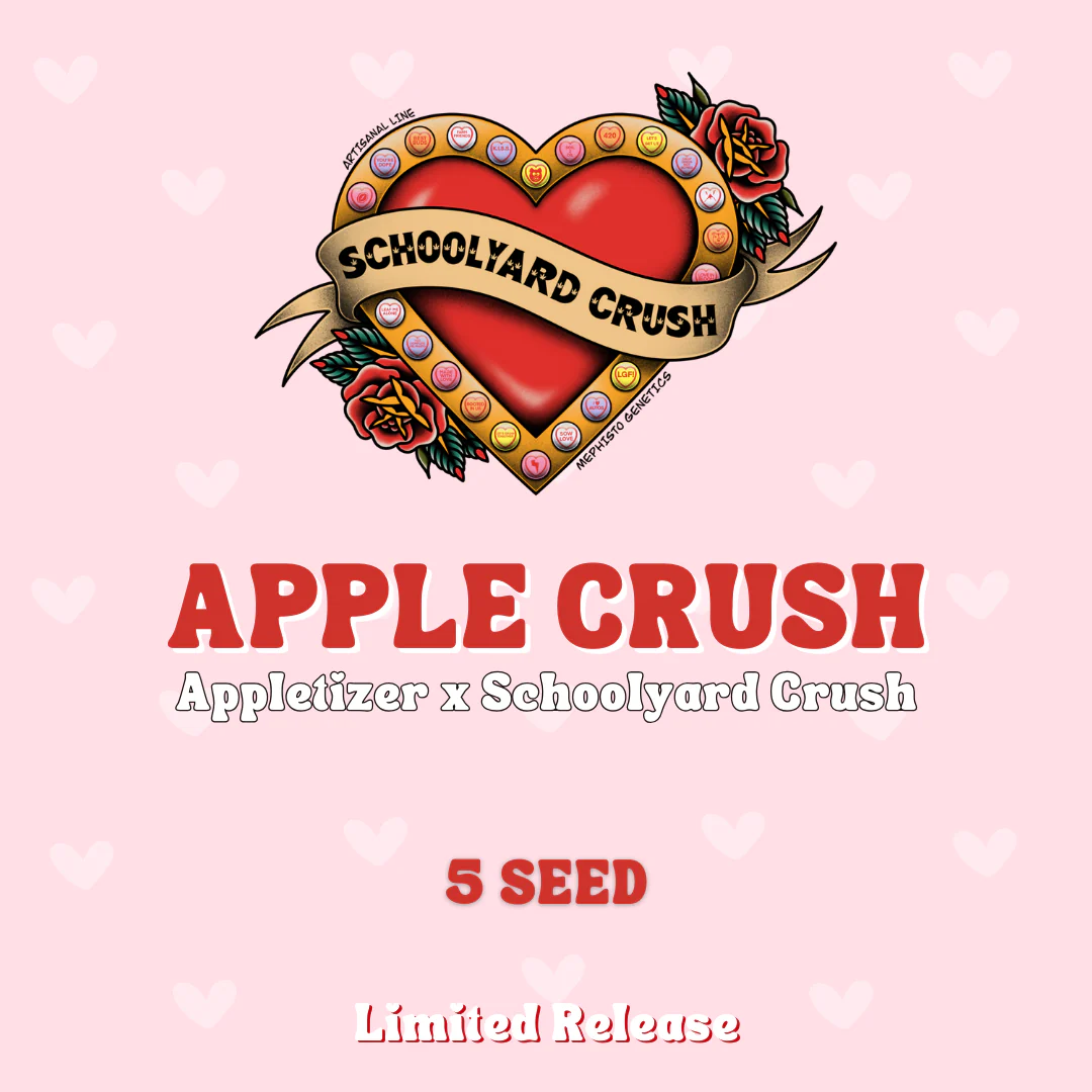 An image of Apple Crush