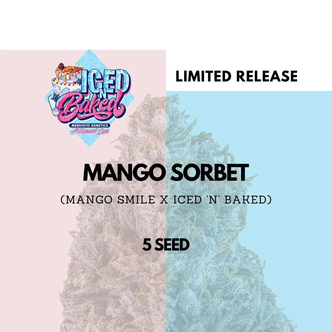 An image of Mango Sorbet