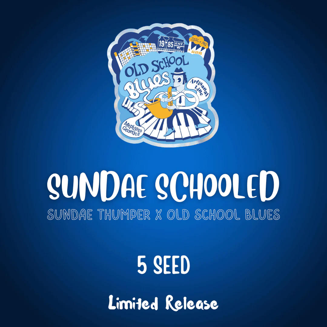 An image of Sundae Schooled