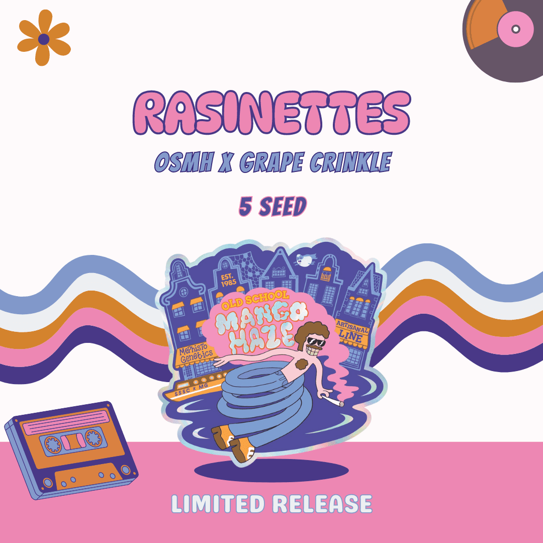 An image of Rasinettes