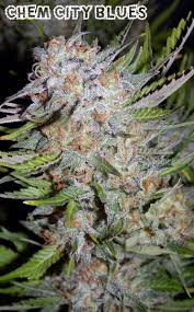 An image of Chem City Blues