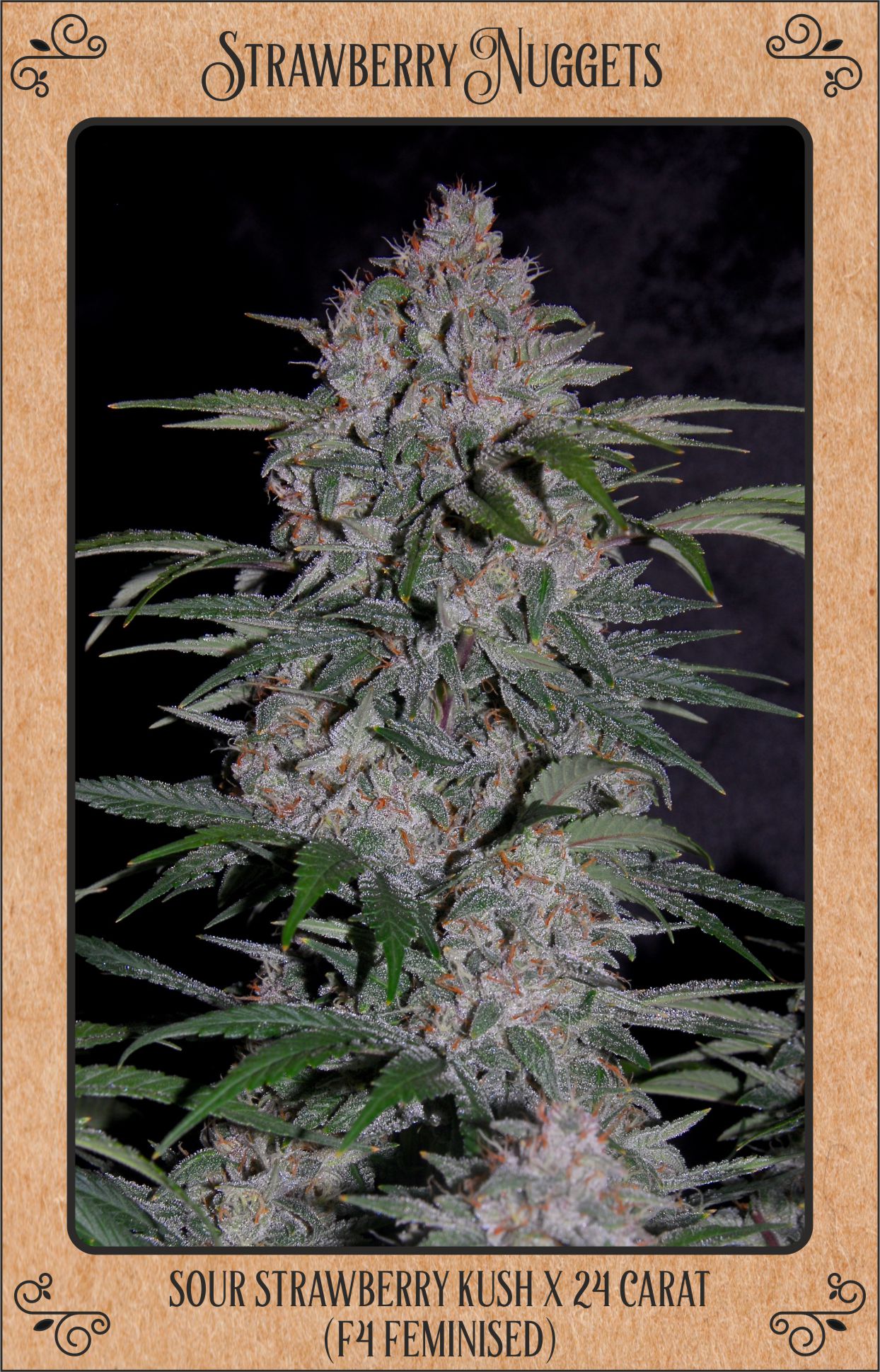 An image of Strawberry Nuggets