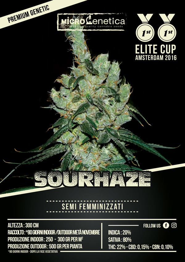 An image of Sourhaze