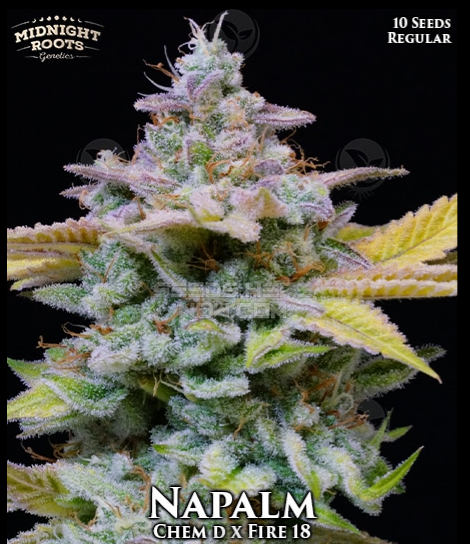 An image of Napalm
