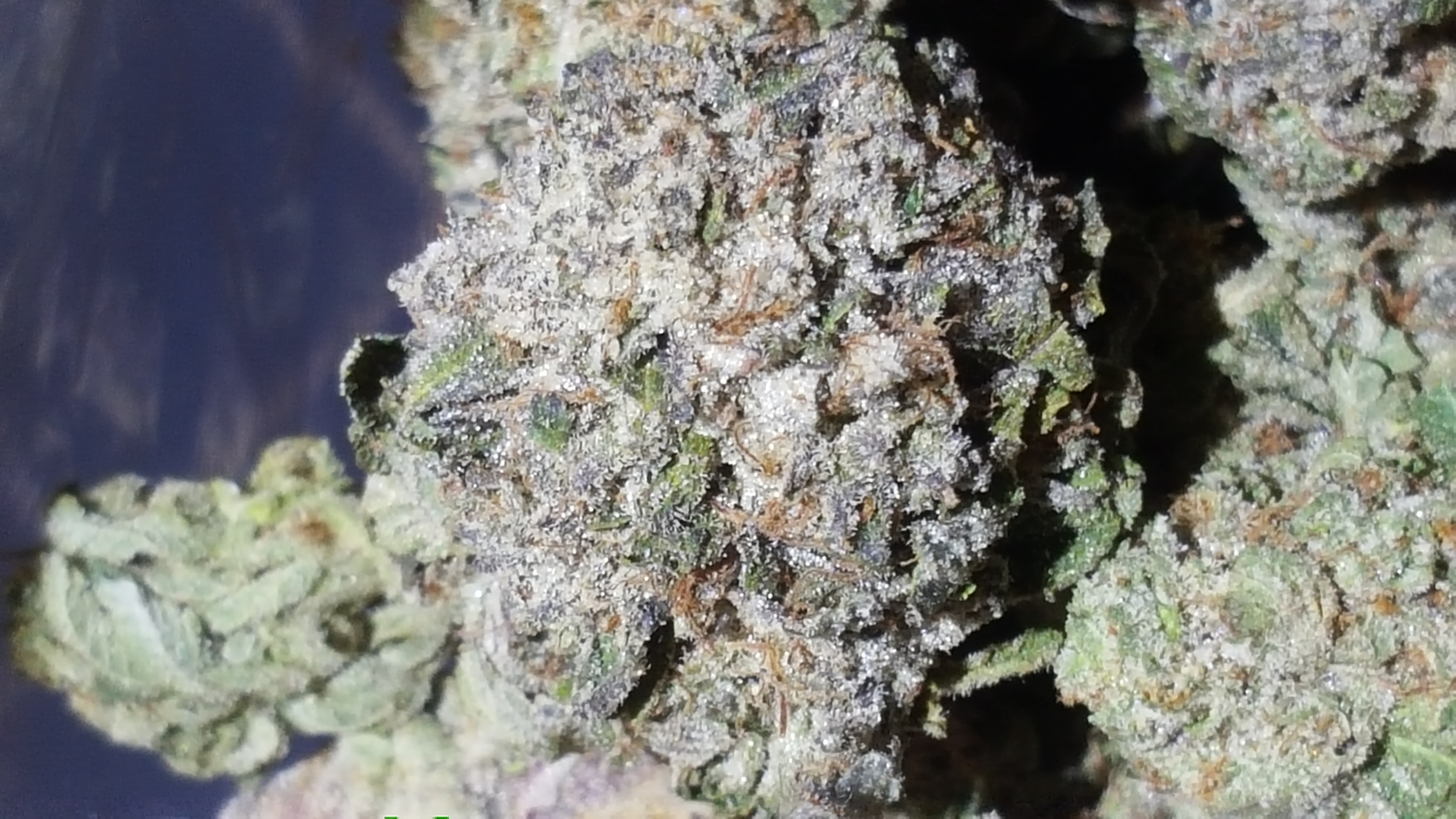 An image of NUKEM