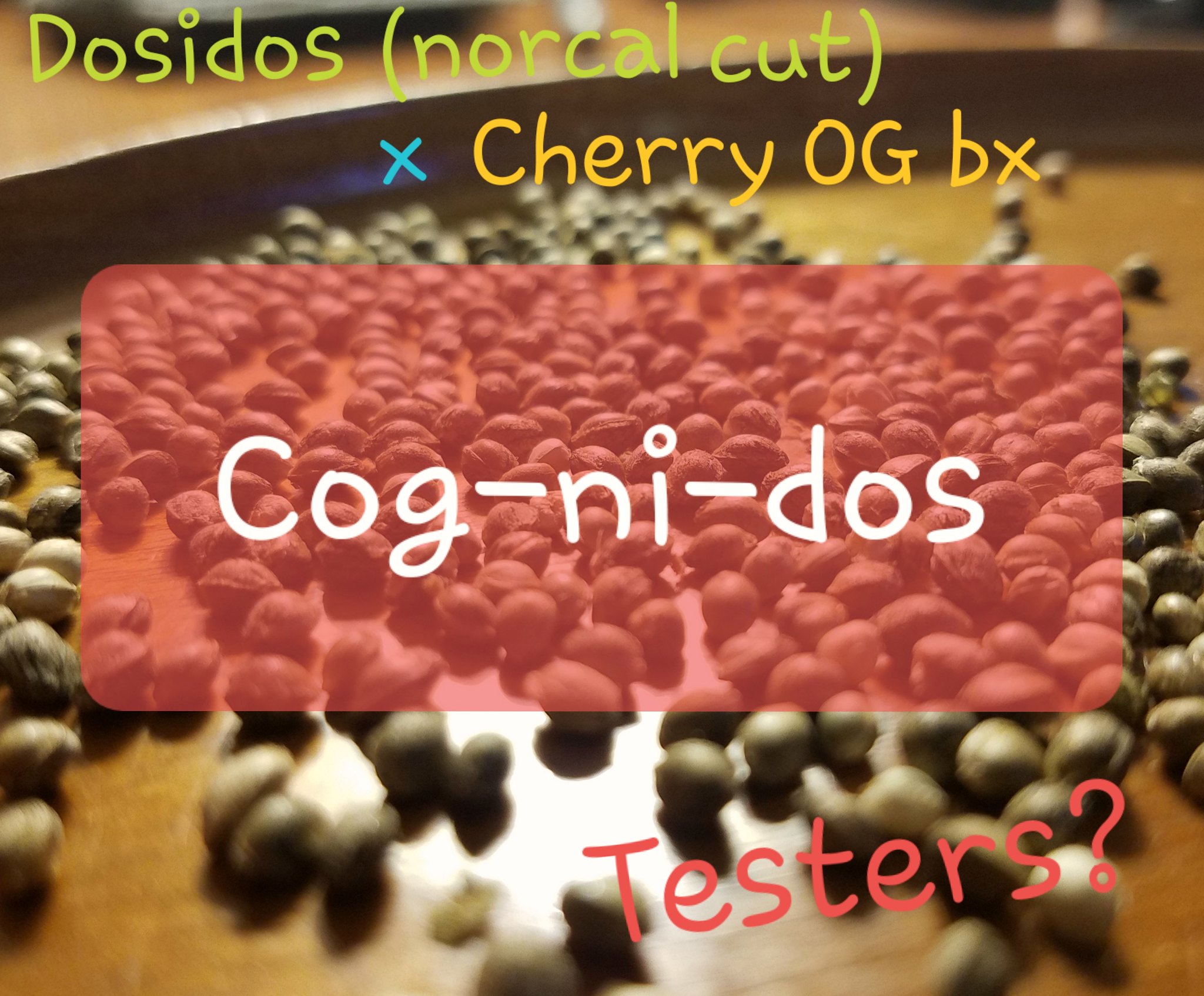 An image of Cog-ni-dos