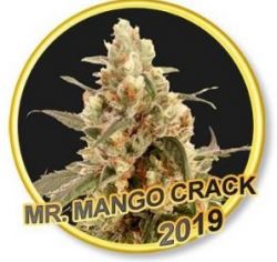 An image of Mr. Mango Crack