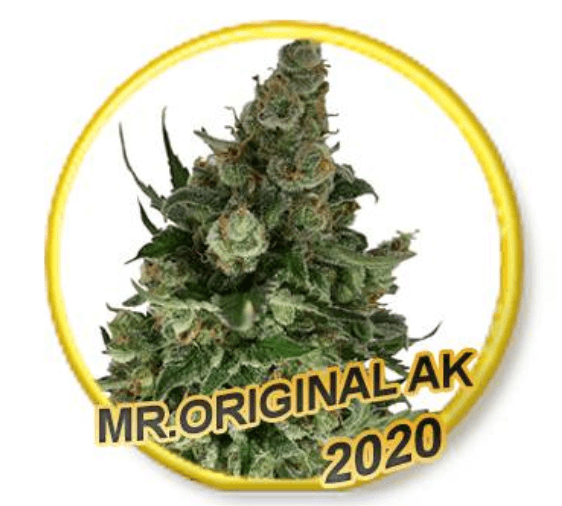 An image of Mr Original AK