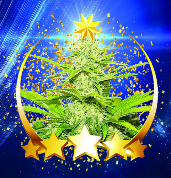 An image of Sirius Skunk
