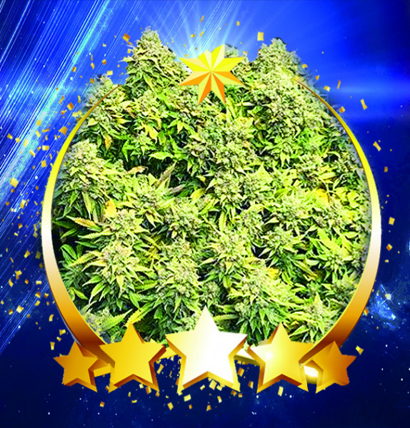 An image of Uranus Lemon Haze