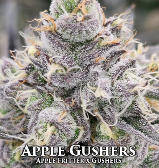 An image of Apple Gushers