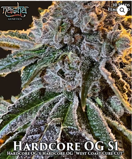 An image of Hardcore OG